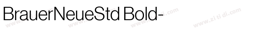 BrauerNeueStd Bold字体转换